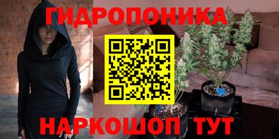 2c-b Камышлов