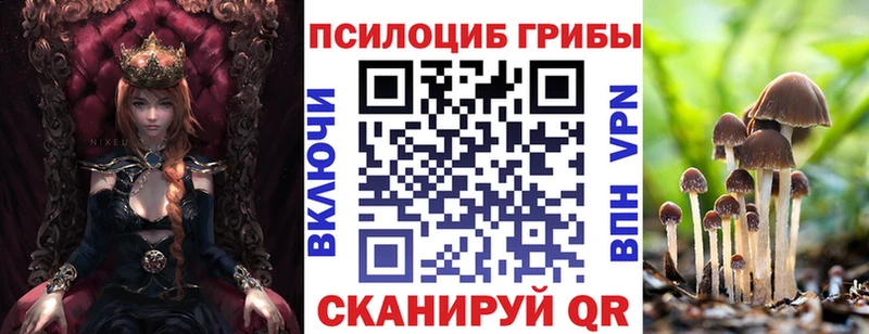 Псилоцибиновые грибы мицелий  Свободный 