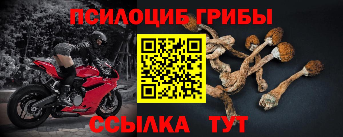 Галлюциногенные грибы GOLDEN TEACHER  Вход с VPN  Свободный 
